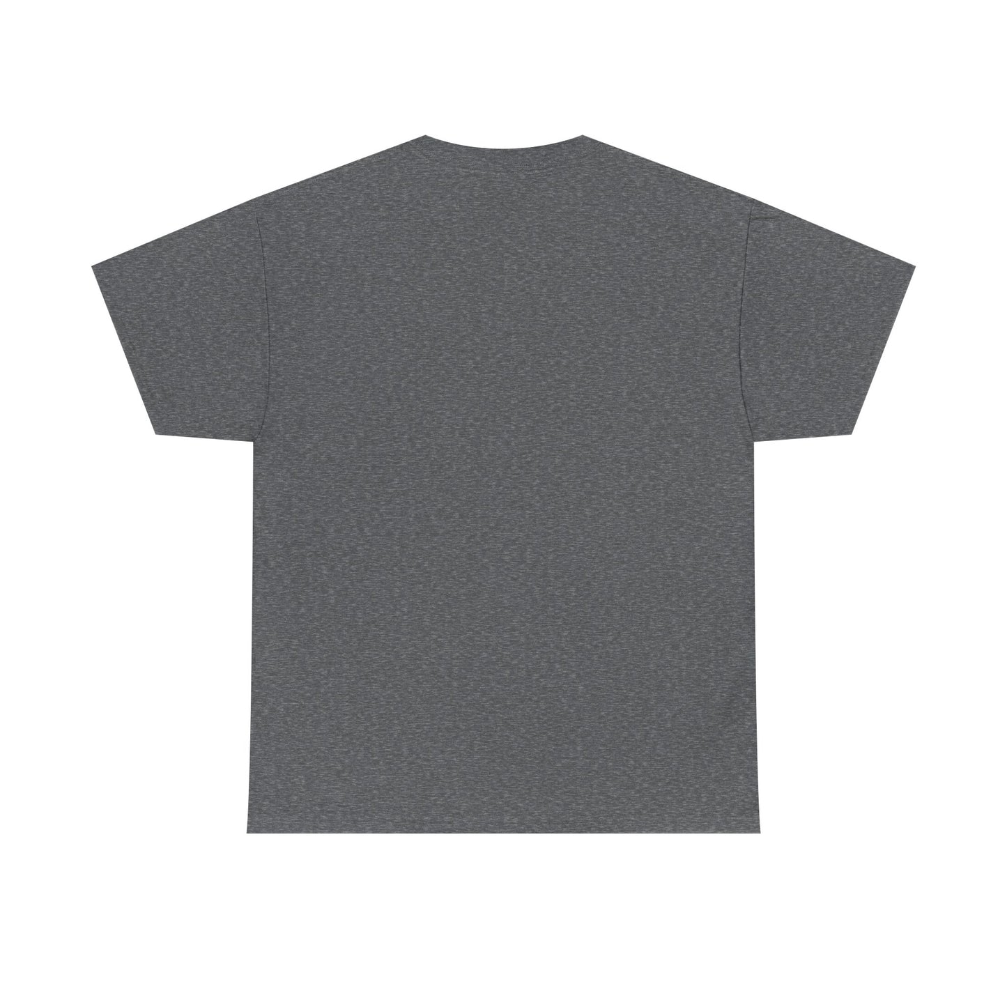 Catch the Current Tee, Relaxed Cotton T-Shirt, Beach Vibe Top, Casual Wear, Perfect Gift for Surfers, Summer Fun