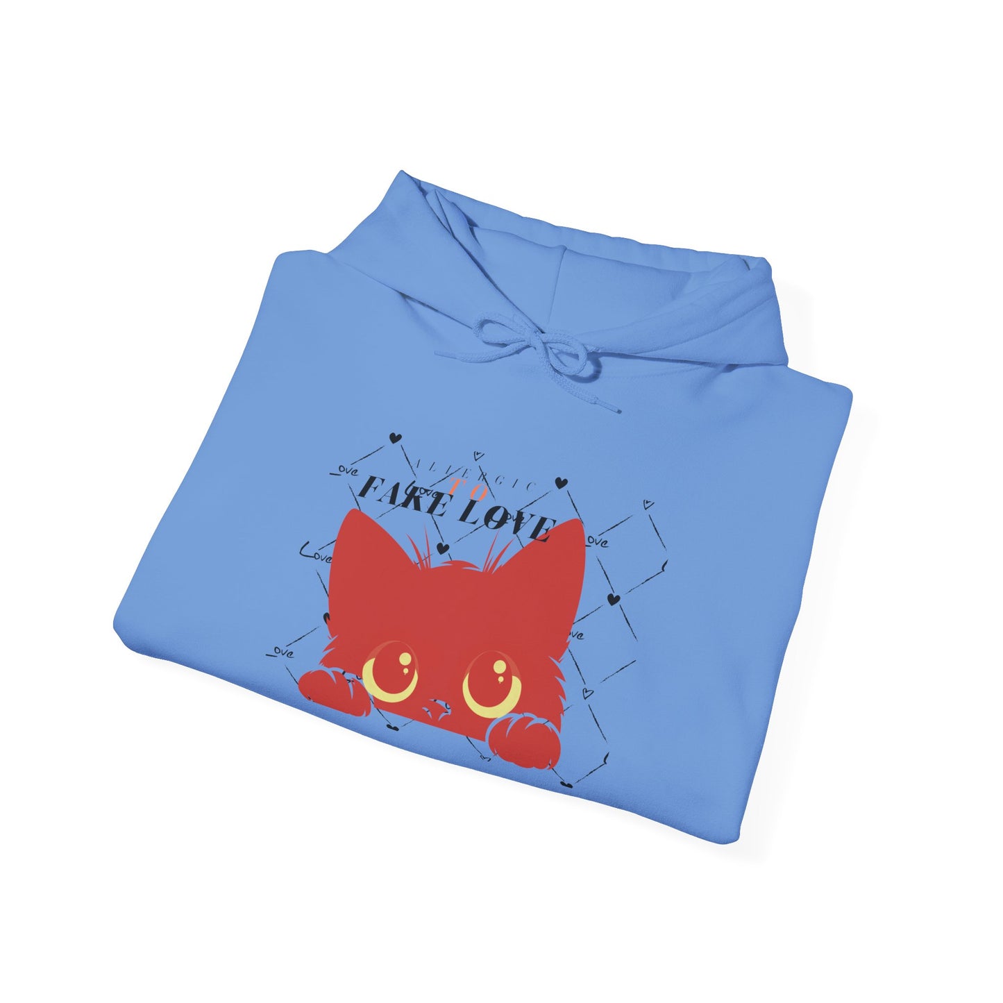 Hooded Sweatshirt