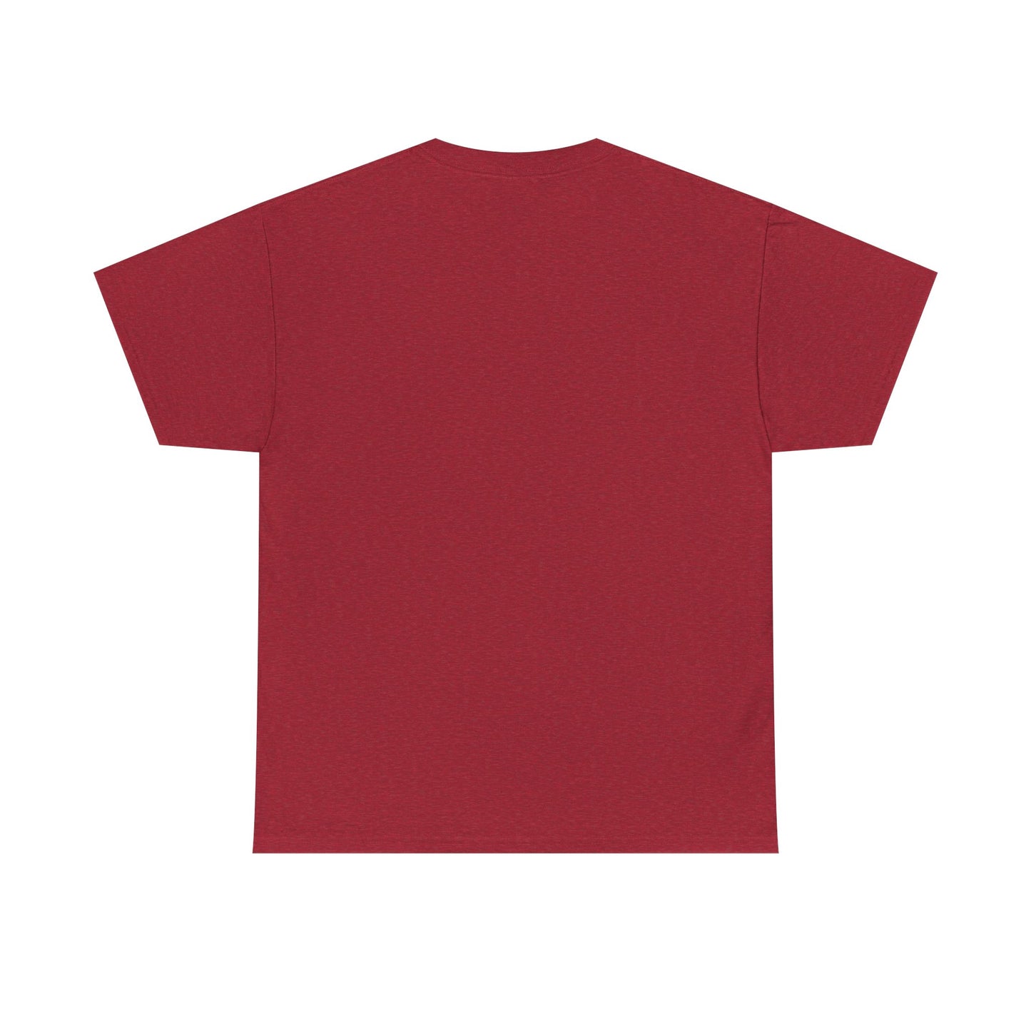 Catch the Current Tee, Relaxed Cotton T-Shirt, Beach Vibe Top, Casual Wear, Perfect Gift for Surfers, Summer Fun