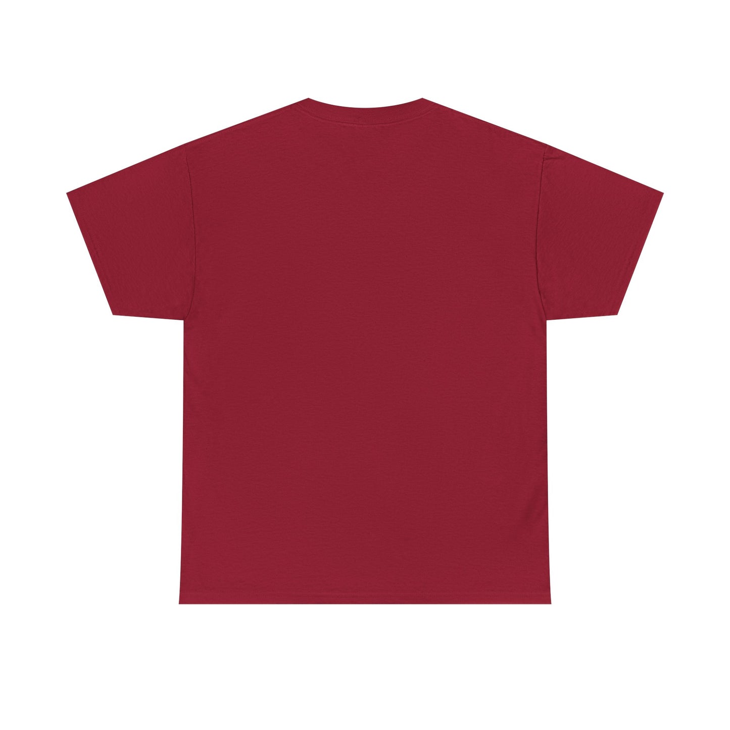Catch the Current Tee, Relaxed Cotton T-Shirt, Beach Vibe Top, Casual Wear, Perfect Gift for Surfers, Summer Fun