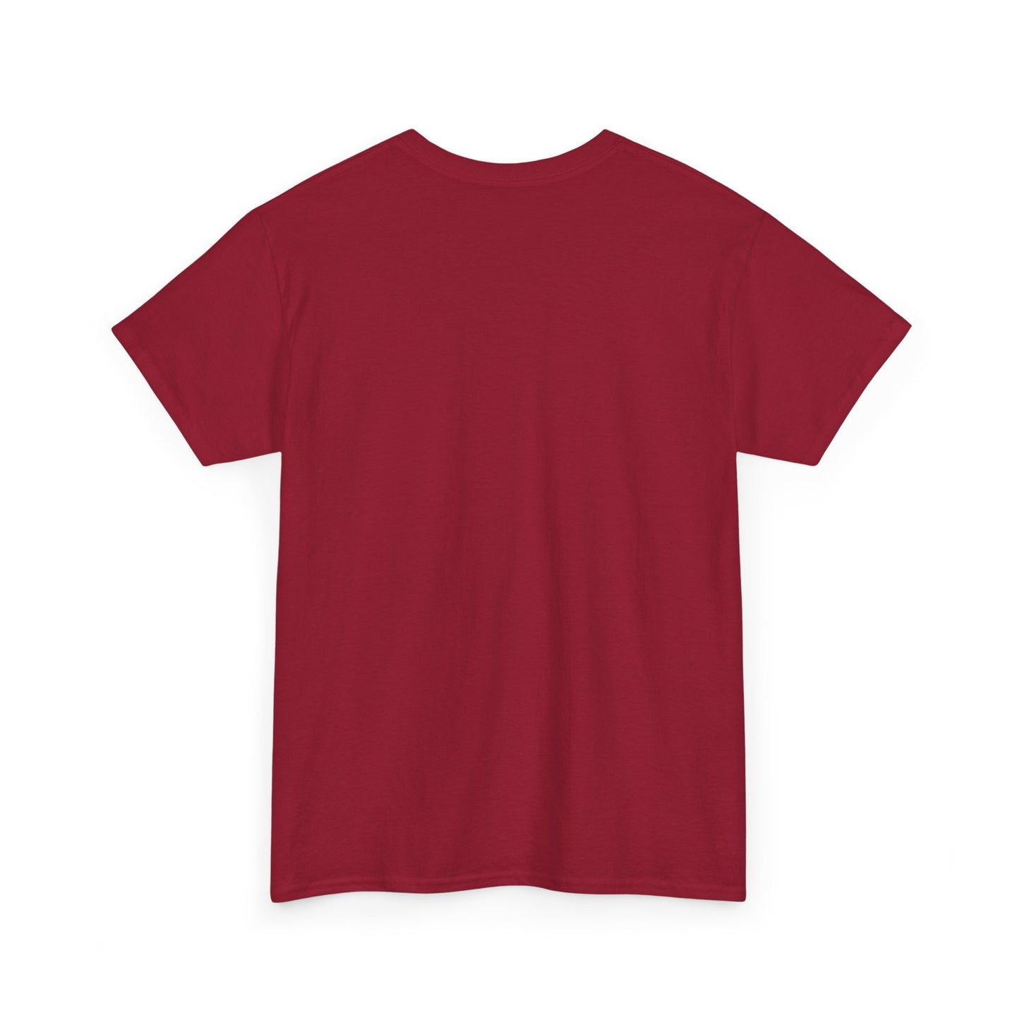 Catch the Current Tee, Relaxed Cotton T-Shirt, Beach Vibe Top, Casual Wear, Perfect Gift for Surfers, Summer Fun
