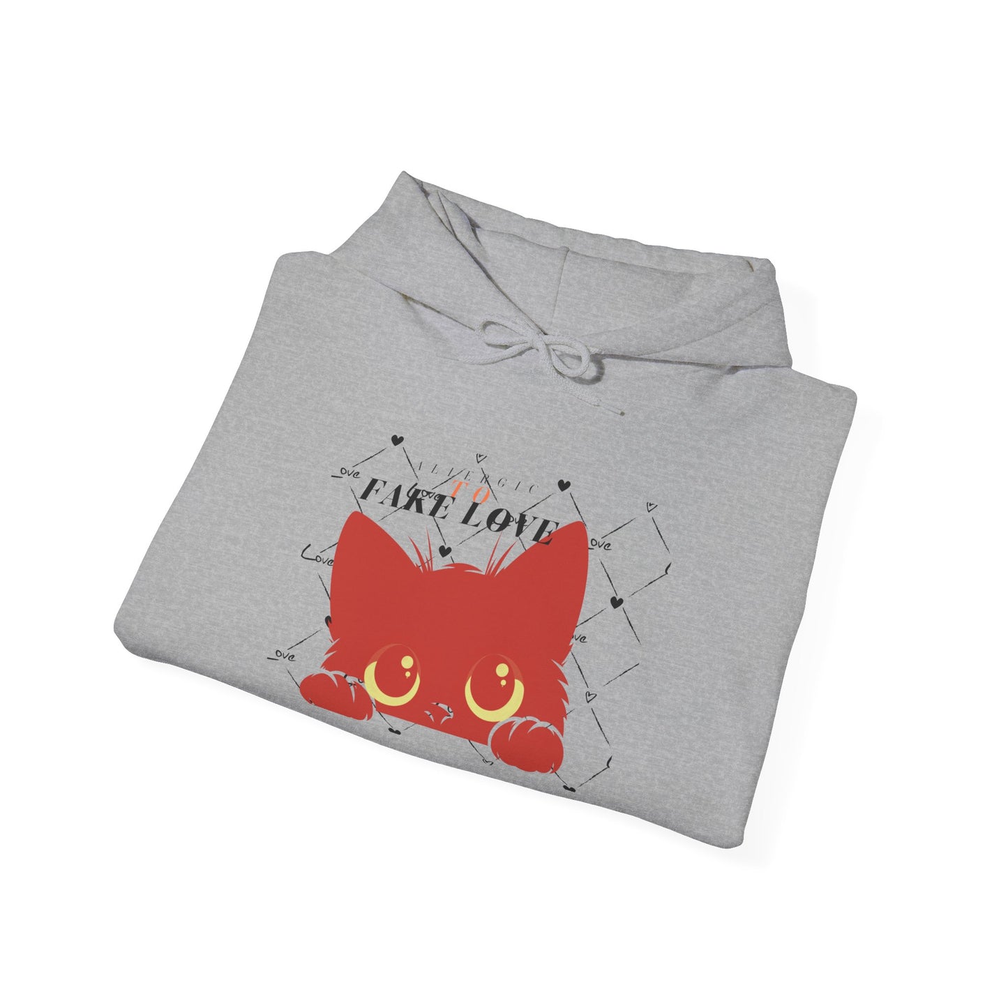 Hooded Sweatshirt
