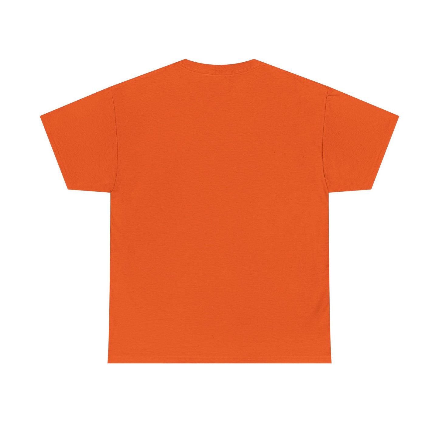 Catch the Current Tee, Relaxed Cotton T-Shirt, Beach Vibe Top, Casual Wear, Perfect Gift for Surfers, Summer Fun