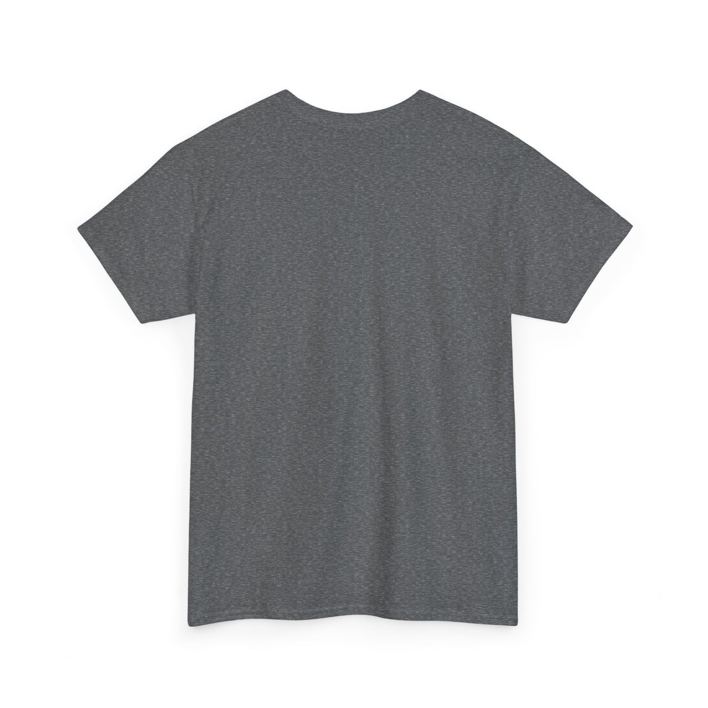Catch the Current Tee, Relaxed Cotton T-Shirt, Beach Vibe Top, Casual Wear, Perfect Gift for Surfers, Summer Fun